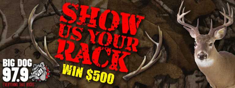 Show us your Rack