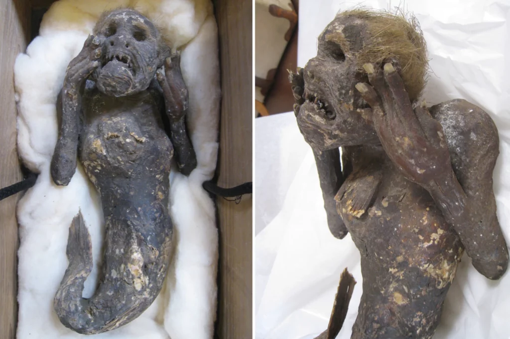 Nerd News Today Mummified body found looks like a Mermaid, Stonehenge is used for this and Dinosaur news