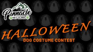 2022 Halloween Dog Photo Contest